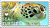 Stamp with the head of a sea turtle and the words 'I ❤️ sea turtles'